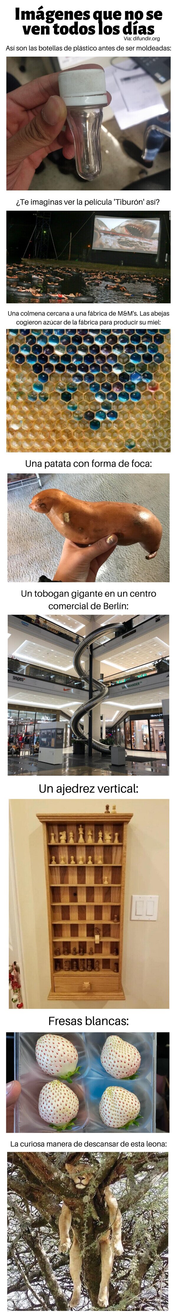 Meme_otros - Imágenes que no se ven todos los días