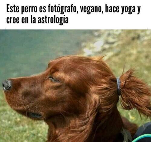 Otros - Tiene cara de todo ello