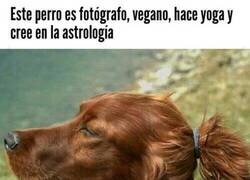 Enlace a Tiene cara de todo ello