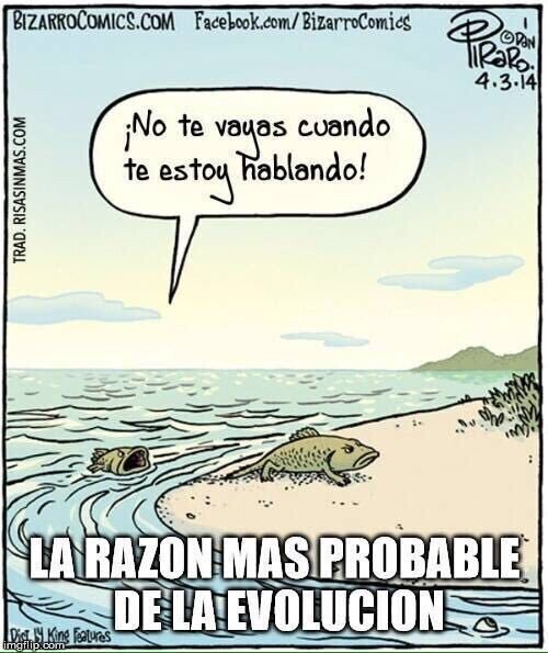 Meme_otros - El origen de la evolución