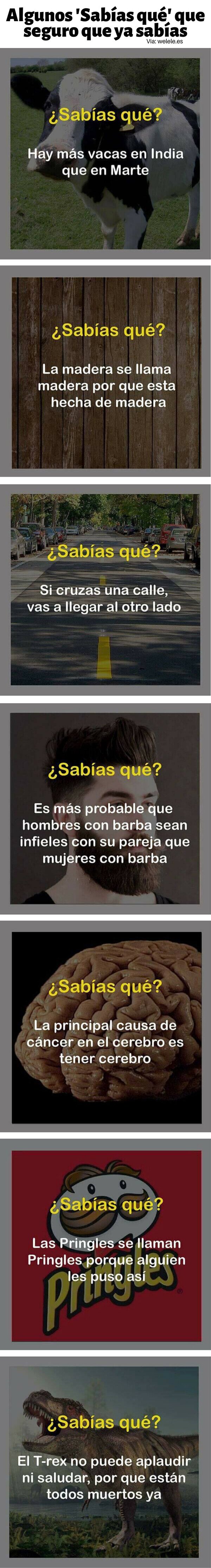sabías que,curiosidades