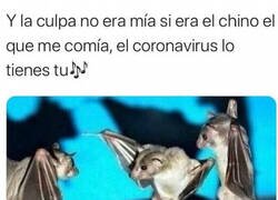 Enlace a El baile del murciélago