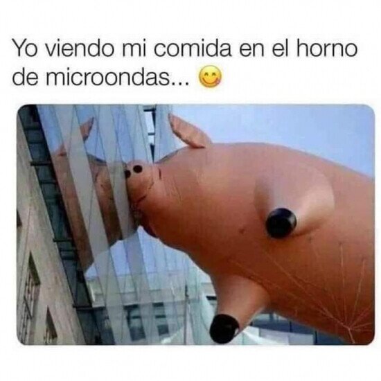 Otros - También parezco un gorrino