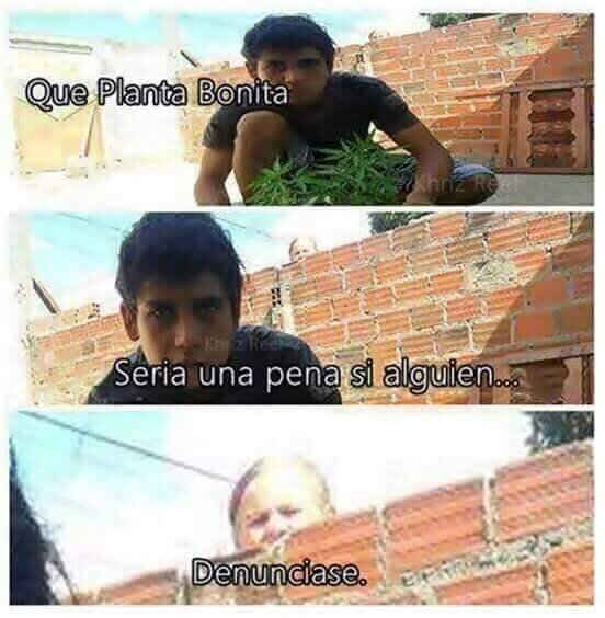 Meme_otros - ¡Te han pillado!