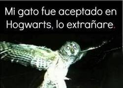 Enlace a ¡Manda saludos a Harry!