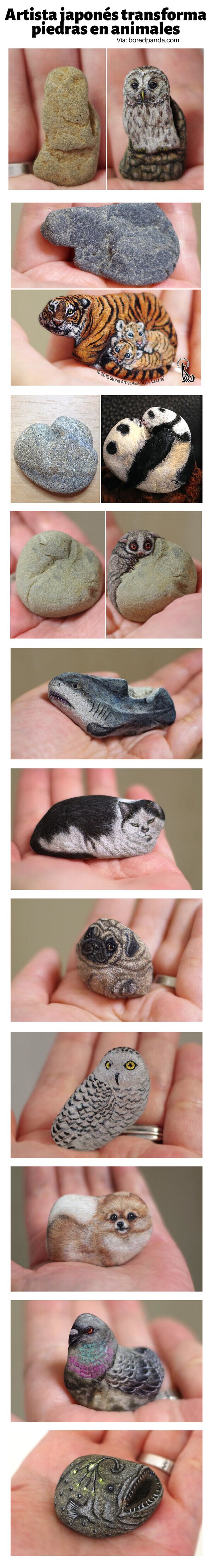 Meme_otros - Artista japonés transforma piedras en animales