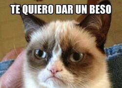 Enlace a Es un galan