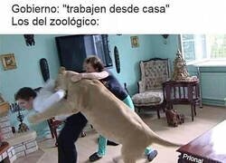 Enlace a Ellos lo tienen complicado