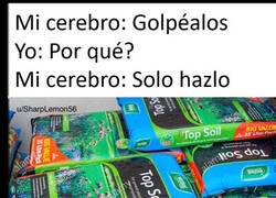 Enlace a Es inevitable hacerlo