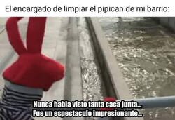 Enlace a Son días duros para todos