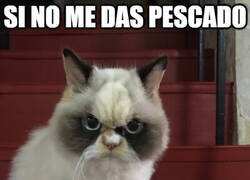 Enlace a No tendrás buenas consecuencias
