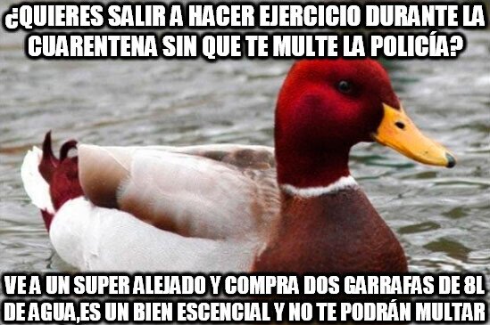 Pato_mal_consejero - Mal consejo en la cuarentena