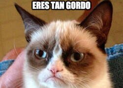 Enlace a El irrespetuoso Grumpy Cat