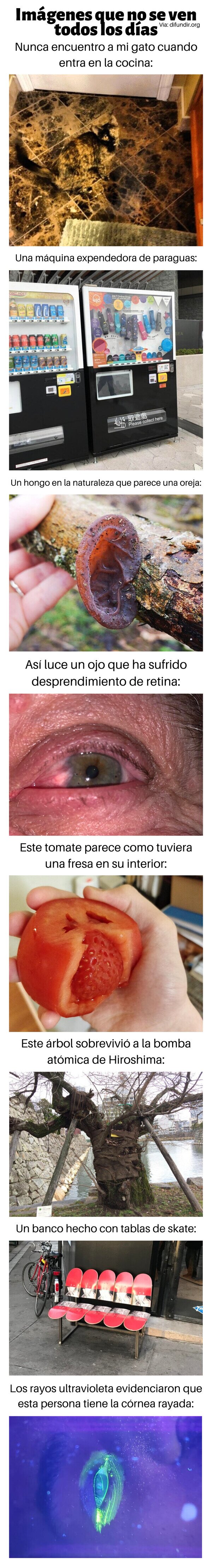 Meme_otros - Imágenes que no se ven todos los días