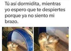 Enlace a Eso es amor