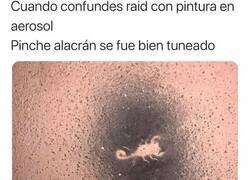 Enlace a Cuando confundes el bote de graffiti con el de insecticida