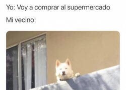 Enlace a Siento que me vigilan