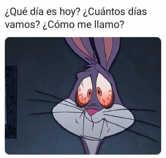 Otros - La cuerentena está empezando a causar estragos