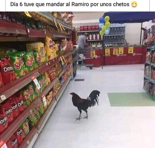 Otros - ¡Recuerda, de los de sabor jamón!