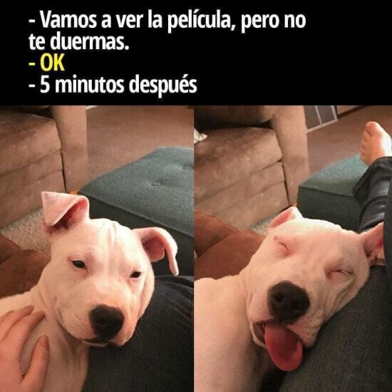 Otros - Ni una trama consigo ver