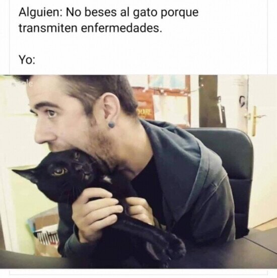 Otros - Mi gato es parte de mí