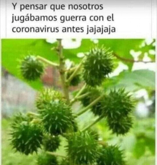 Meme_otros - Mis amigos y yo predijimos todo esto con 5 años