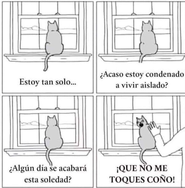 Meme_otros - Los gatos y su bipolaridad