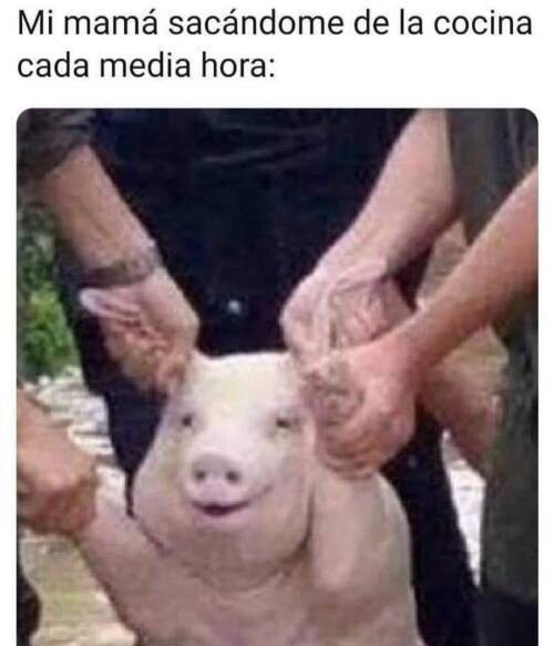 Otros - Problemas de la cuarentena
