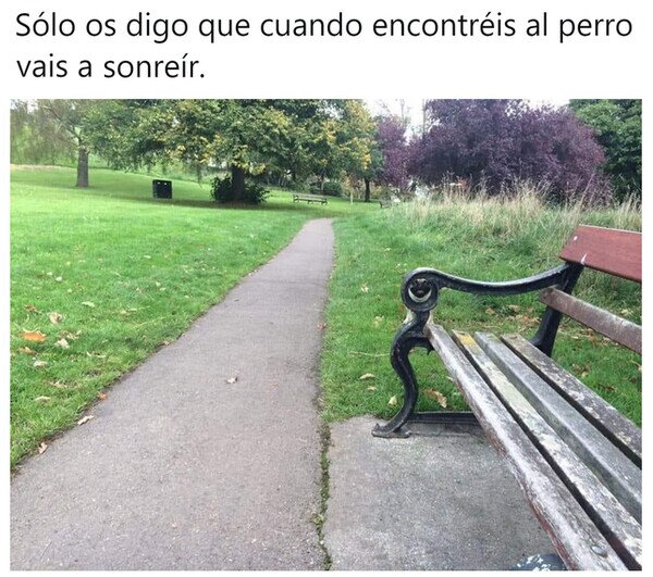 Meme_otros - Buscad y disfrutad