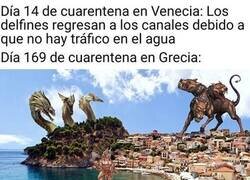 Enlace a Cada uno con sus animales