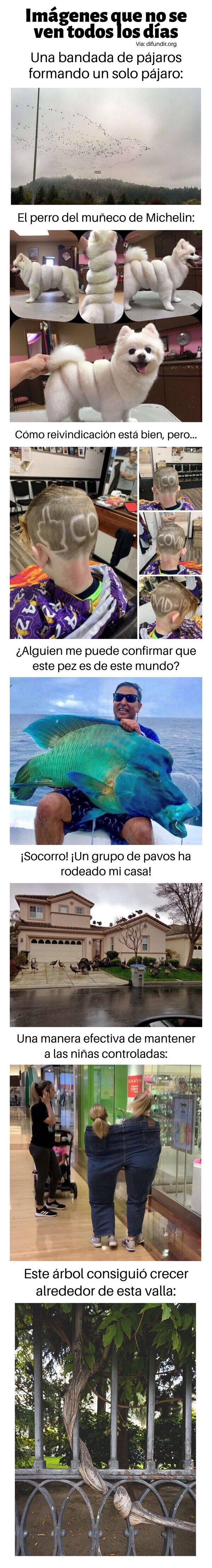 Meme_otros - Imágenes que no se ven todos los días