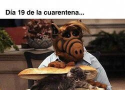 Enlace a Estoy a 5 minutos de comerme al gato