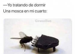 Enlace a Concierto en vivo