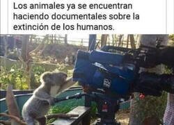 Enlace a Qué ganas de verl... oh, wait