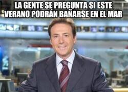 Enlace a ¿Vacaciones en el mar?