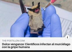 Enlace a La venganza es un plato que se sirve frío