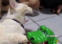 Enlace a El amor me duele