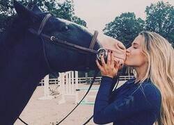 Enlace a El que entiende, entiende...