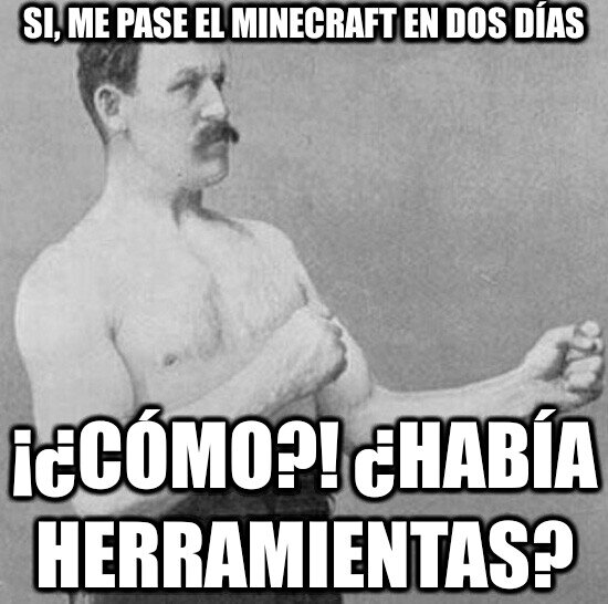 Herramientas,Minecraft,overly manly man