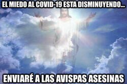 Enlace a No nos envies más pruebas, por favor...