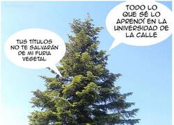 Enlace a Con las neuronas justas para hacer la fotosintesis