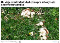 Enlace a Eso fue lo único que encontró...