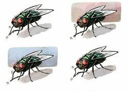 Enlace a Haz como las moscas