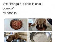 Enlace a La inteligencia humana nada puede hacer contra ellos