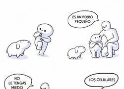 Enlace a A este perro sí que debes tenerle miedo