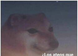 Enlace a Hipócritas