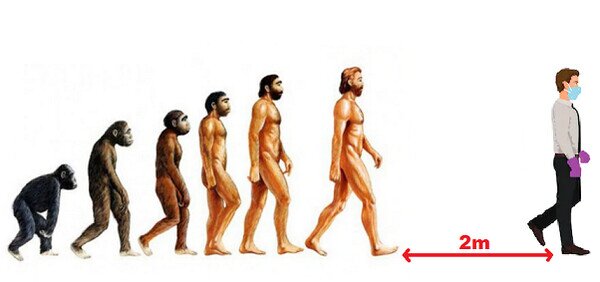 Meme_otros - La evolución del hombre...