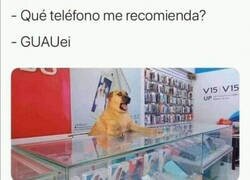 Enlace a Si los perros vendiesen móviles