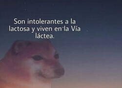 Enlace a Estamos rodeados de hipócritas