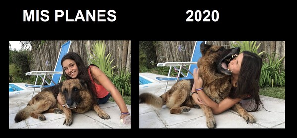 2020,chica,morder,perro,planes